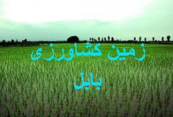 35- فروش زمین کشاورزی بابل