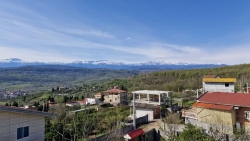 25- فروش ویلا جنگلی بابل