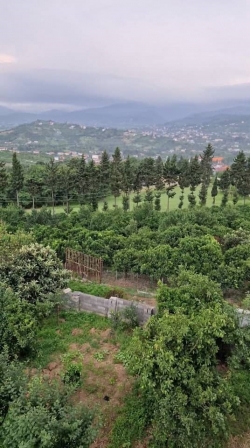 25- فروش ویلا جنگلی بابل