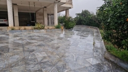 25- فروش ویلا جنگلی بابل