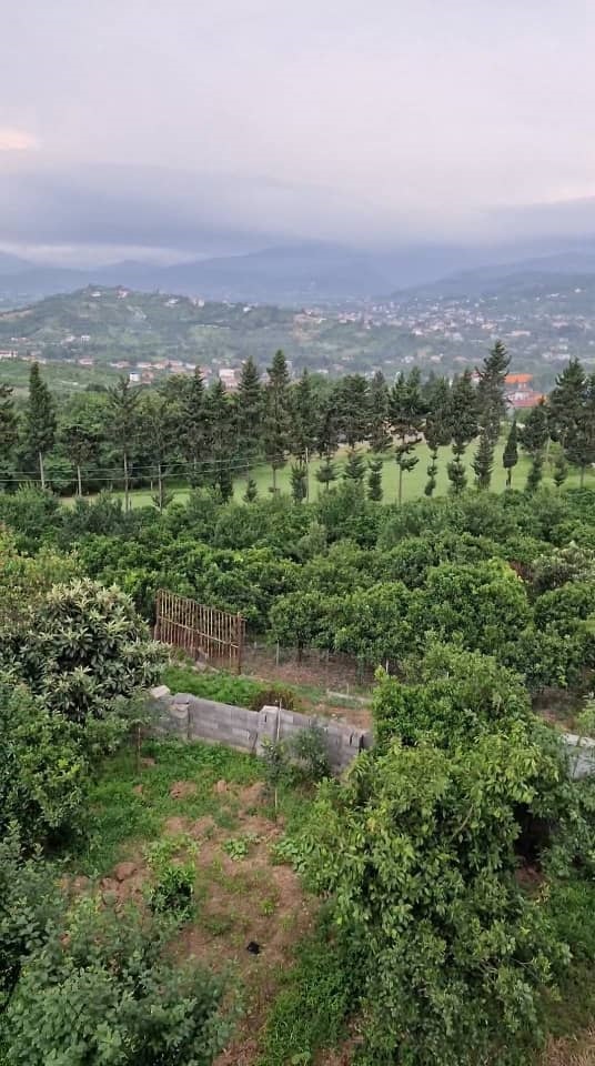 ۲۵- فروش ویلا جنگلی بابل